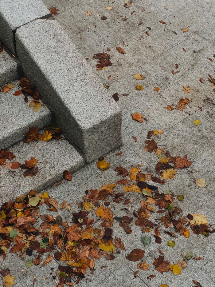 Top view of autumn leaves scattered on concrete steps, showcasing fall vibes.